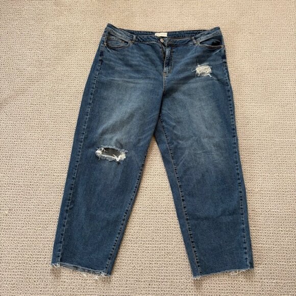ELOQUII Distressed Jeans – Size 20 - Picture 1 of 11